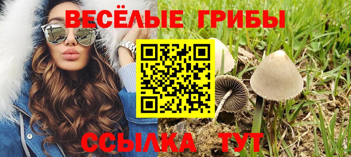 Псилоцибиновые грибы прущие грибы Томск