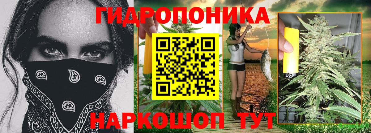 Томск  Каннабис THC 21%  Марихуана OG Kush  Вход с VPN  Бошки Шишки Amnesia 